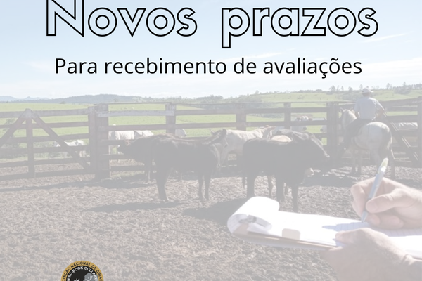 Novos prazos