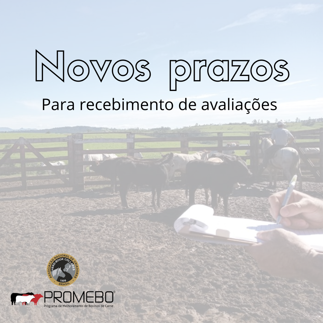Novos prazos - Imagem