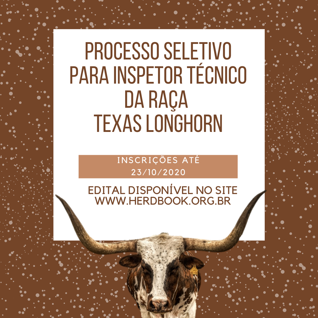 ANC abre inscrições para o processo seletivo de inspetores técnicos da raça Texas Longhorn - Imagem