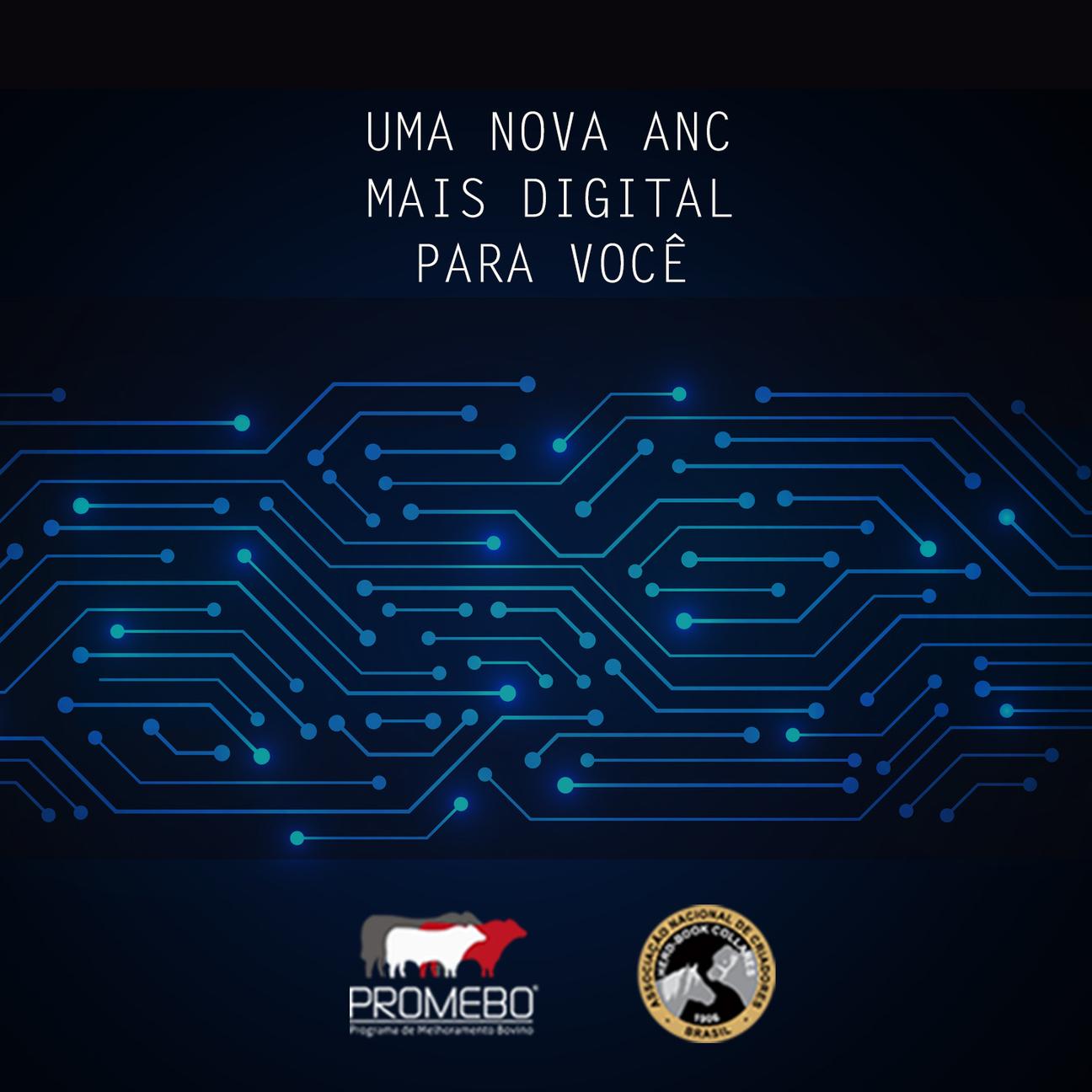 ANC Herd-Book Collares migra sistema de registros genealógicos - Imagem