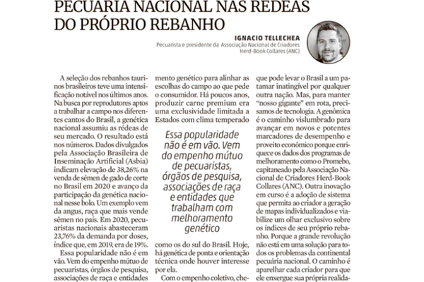 Pecuária nacional nas rédeas do próprio rebanho