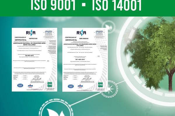 ANC conquista certificações de gestão de qualidade e ambiental