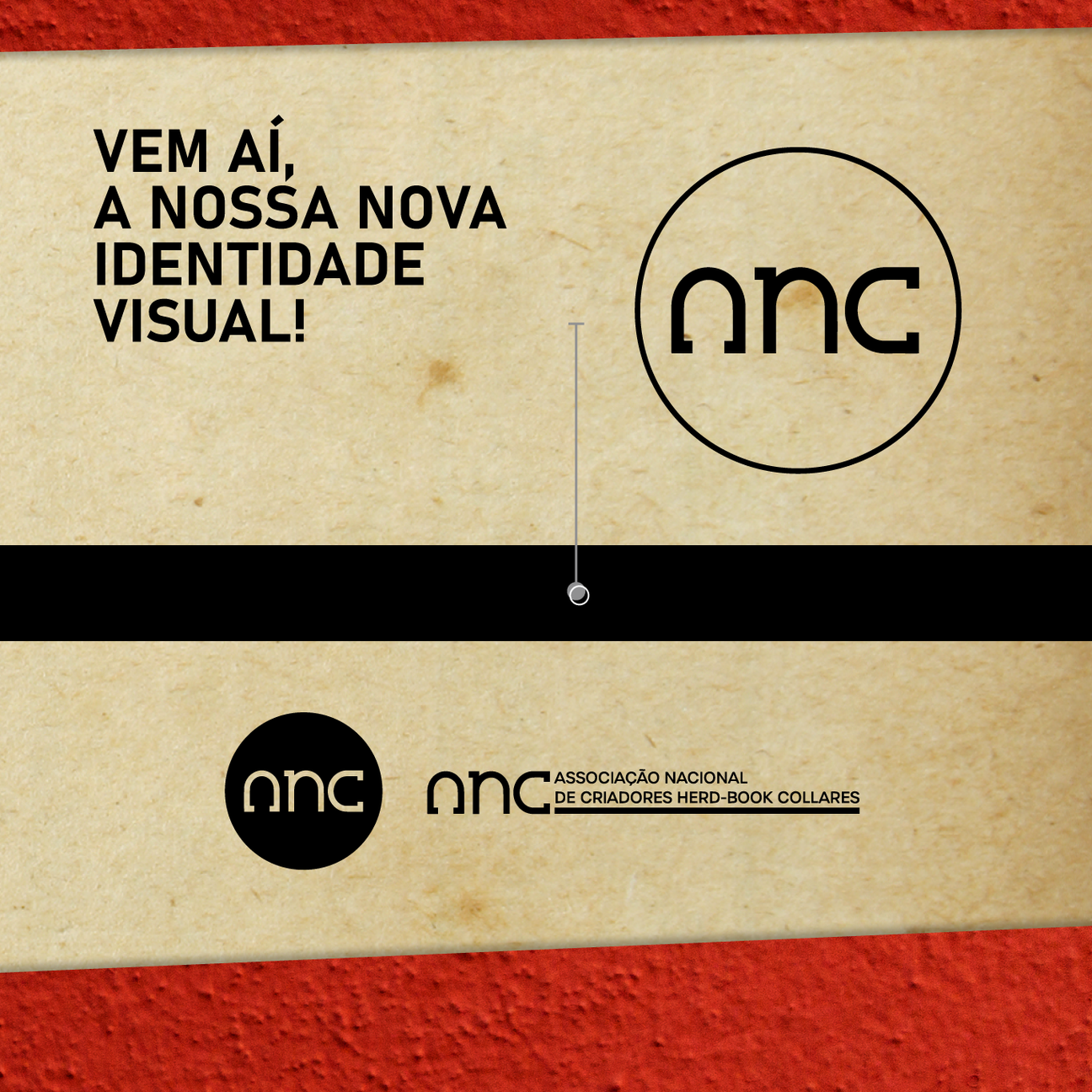 ANC apresenta nova identidade visual - Imagem