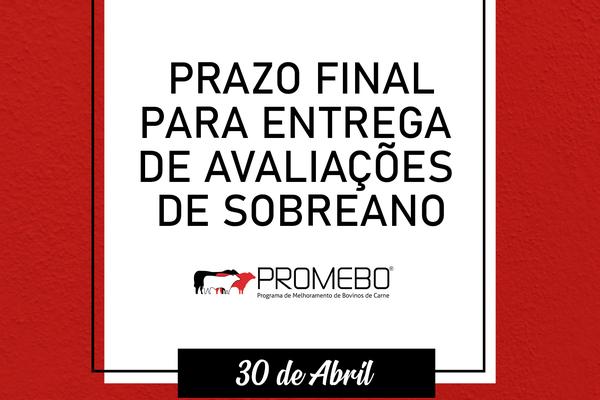 Avaliações de sobreano ao Promebo podem ser enviadas até 30 de abril