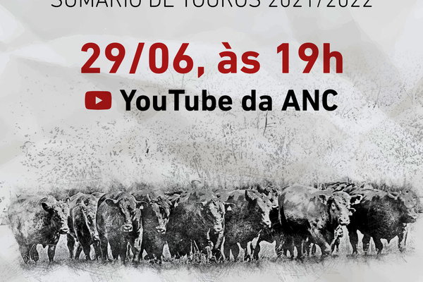 Sumário de Touros ganha versão digital