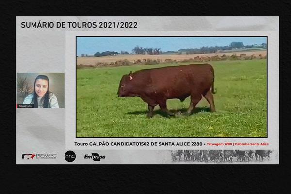 Santa Alice e Saudade vencem Supremacia Genética 2021
