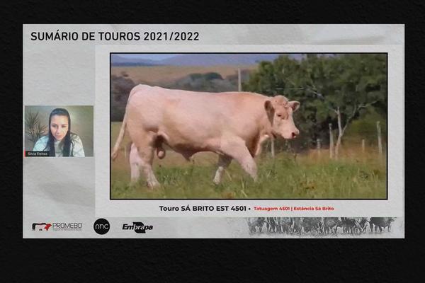 Sá Brito e Tarumã lideram no Charolês