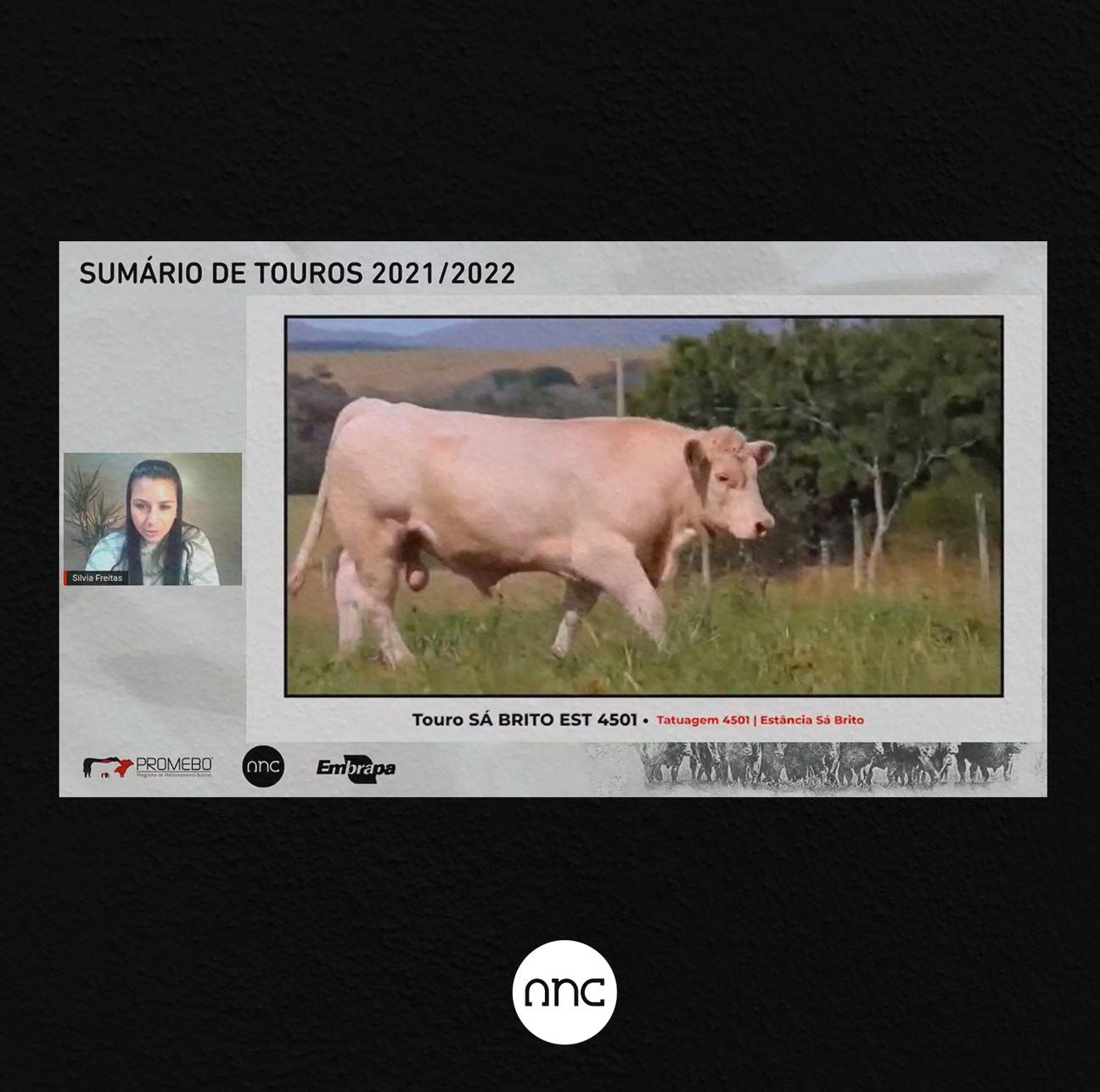 Sá Brito e Tarumã lideram no Charolês - Imagem
