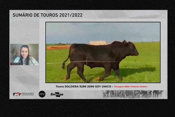Soldera e São João vencem o Supremacia Genética 2021