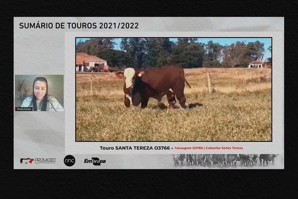 Cabanhas Santa Tereza, Touro Passo e Santa Angélica vencem o Supremacia Genética 2021