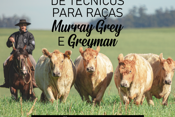 ANC antecipa seleção de inspetores técnicos das raças Murray Grey e Greyman
