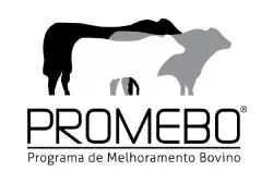 promebo