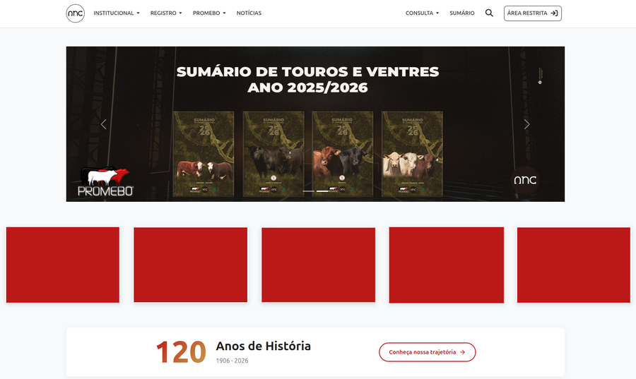 Imagem de exemplo do espaco Destaques em Movimento